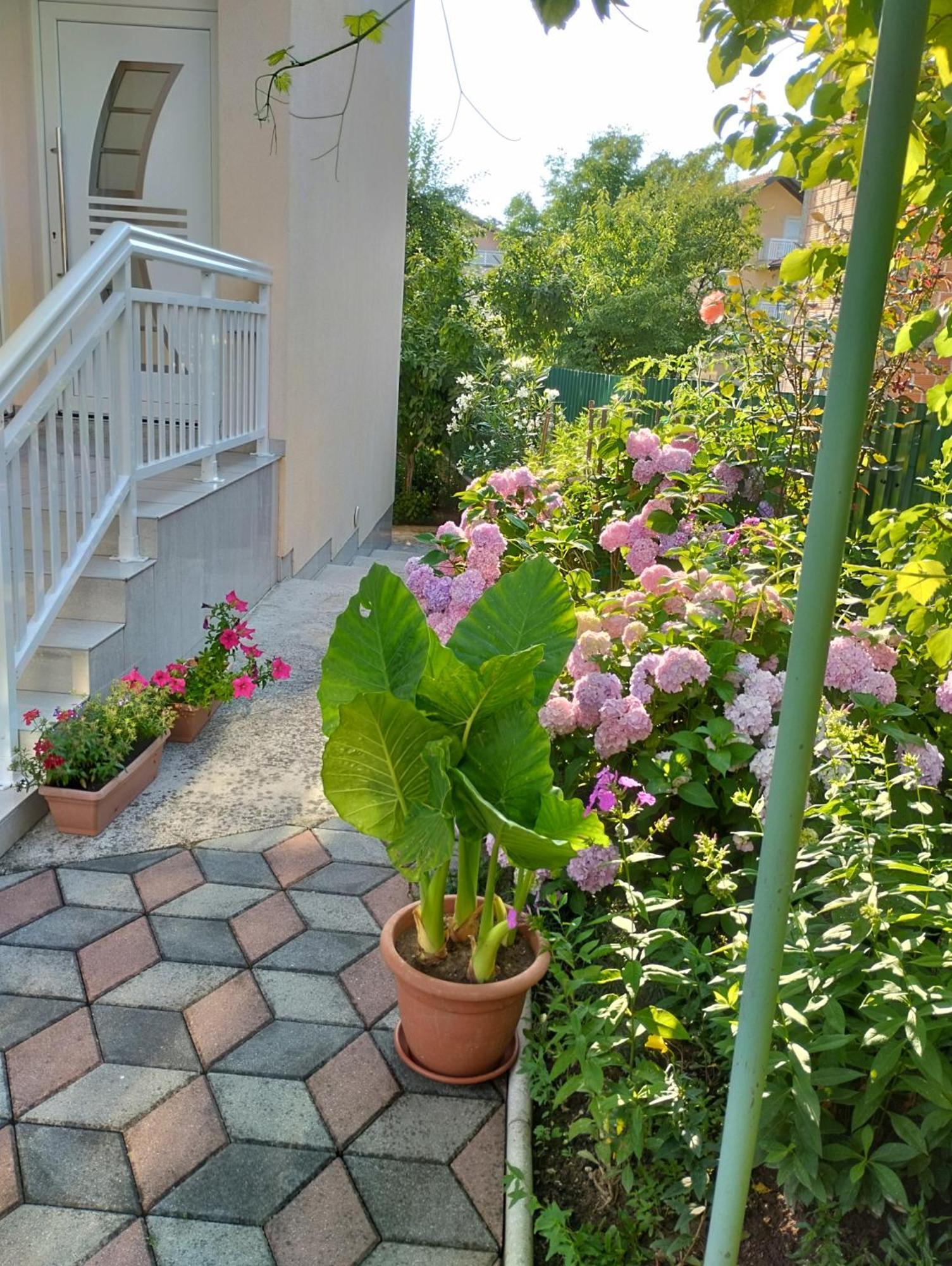 Sejmen Apartment ซาราเยโว ห้อง รูปภาพ